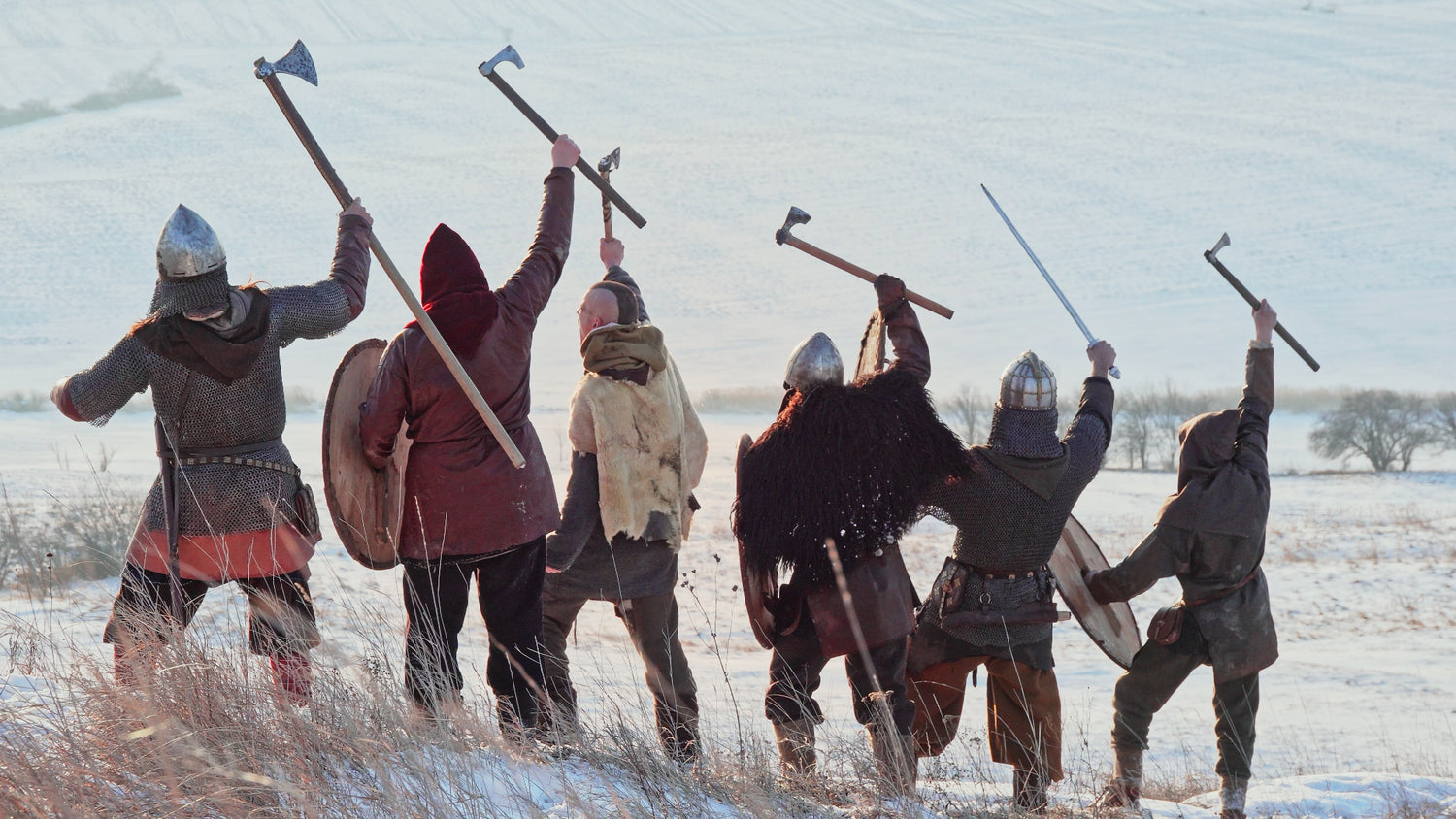 VallaViking: Wir gegen den Klimawandel Banner